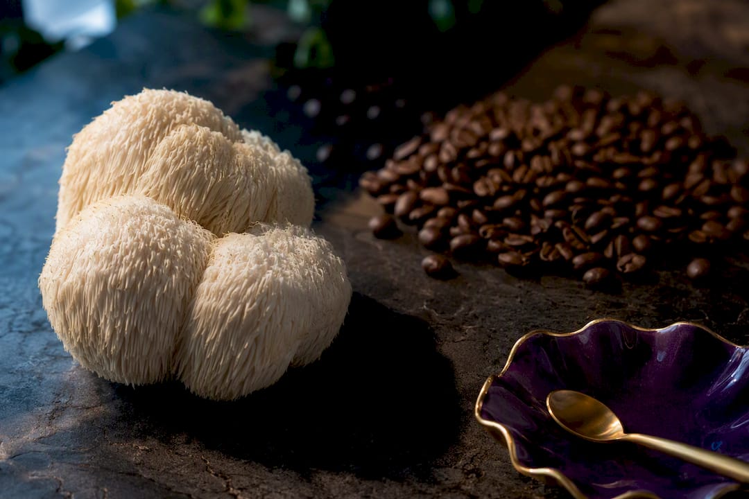 Lion’s mane mushroom beside roasted coffee beans