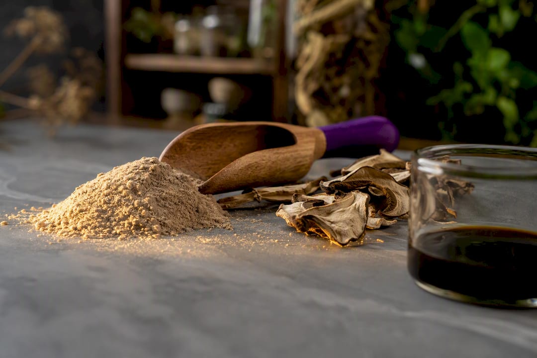 Mushroom powder and extract beside dried mushrooms